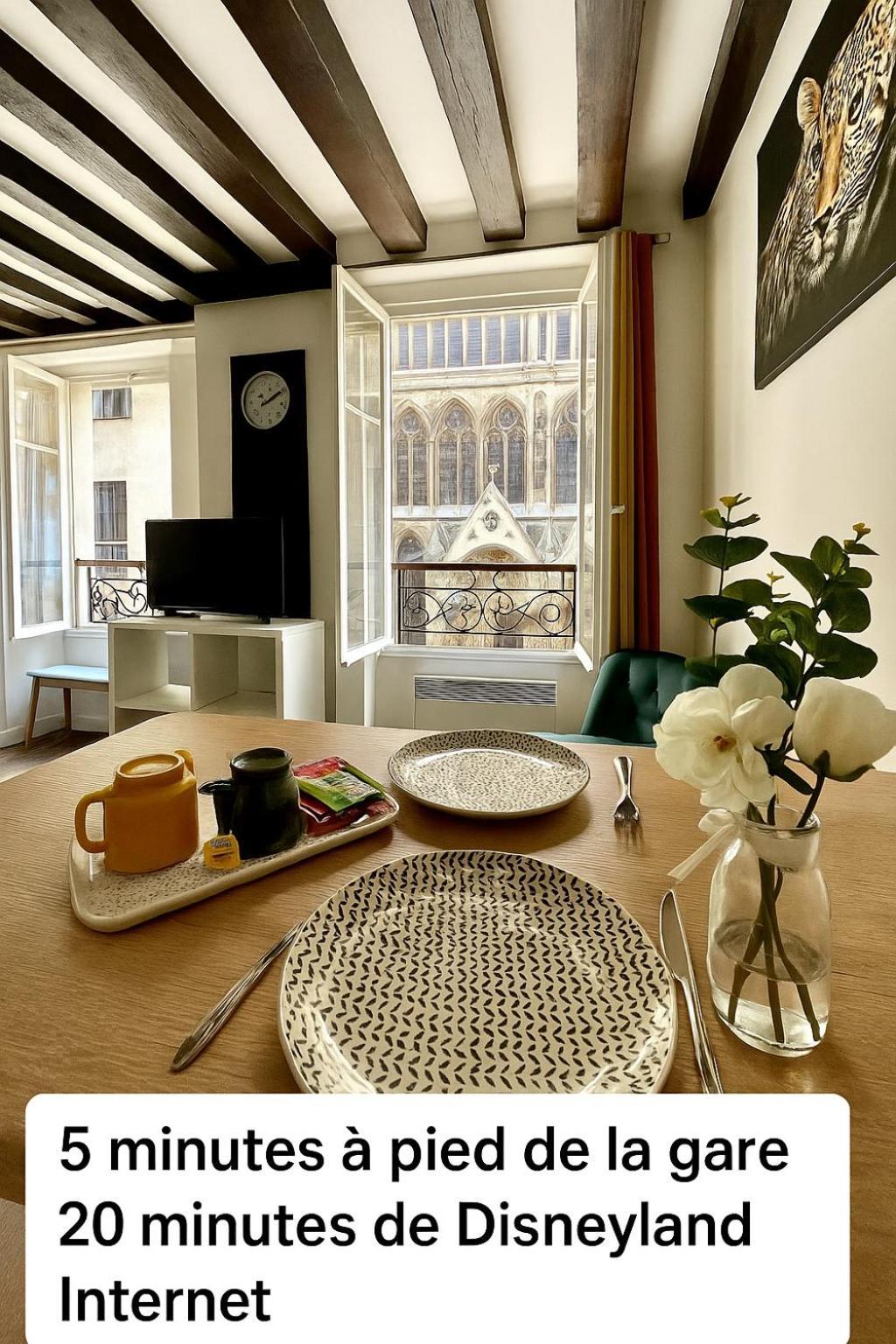 Appartement Vue Cathedrale- Centre Ville Meaux-Gare-Disney Ngoại thất bức ảnh